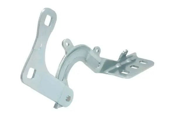 Scharnier, Motorhaube beidseitig BLIC 6802-00-2566452P