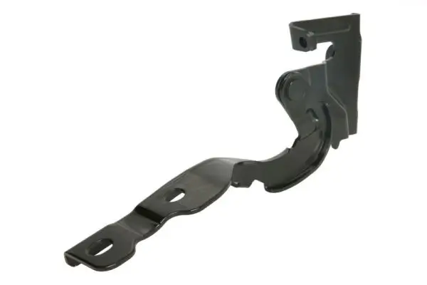 Scharnier, Motorhaube beidseitig BLIC 6802-00-3120452P