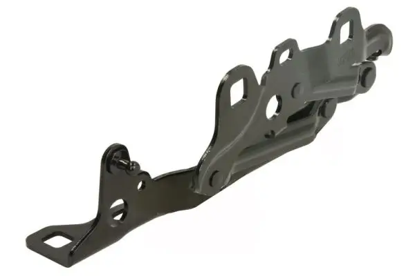 Scharnier, Motorhaube beidseitig BLIC 6802-00-3209452P