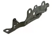 Scharnier, Motorhaube beidseitig BLIC 6802-00-3209452P