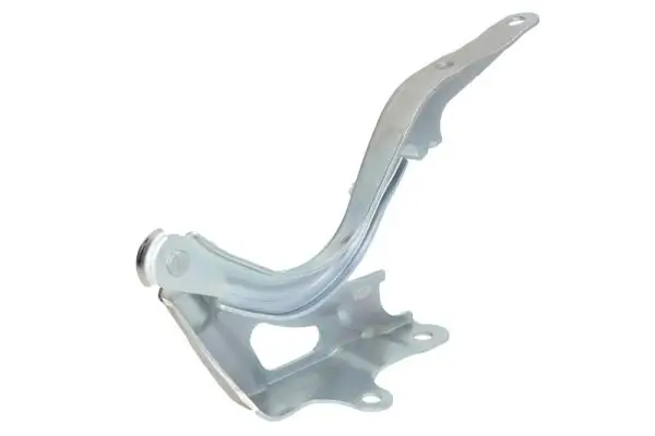 Scharnier, Motorhaube beidseitig BLIC 6802-00-3292451P
