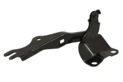 Scharnier, Motorhaube beidseitig BLIC 6802-00-3452451P