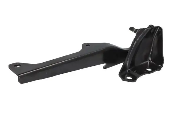 Scharnier, Motorhaube beidseitig BLIC 6802-00-3455451P
