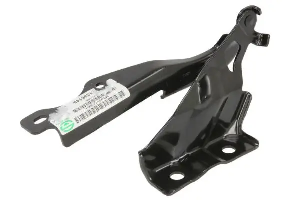 Scharnier, Motorhaube beidseitig BLIC 6802-00-3493451P