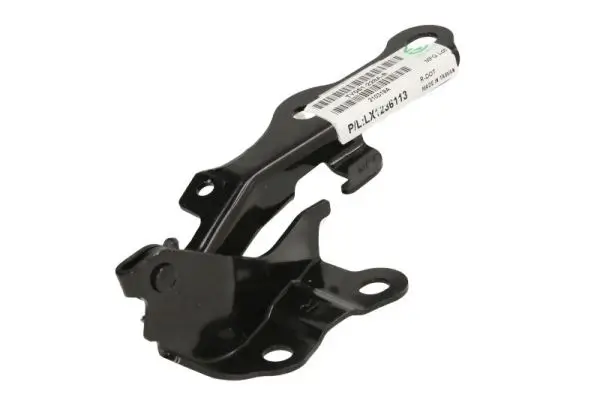 Scharnier, Motorhaube beidseitig BLIC 6802-00-8136452P
