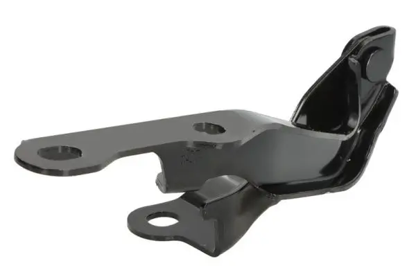 Scharnier, Motorhaube beidseitig BLIC 6802-00-8179452P
