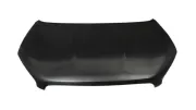 Motorhaube BLIC 6803-00-1617281P