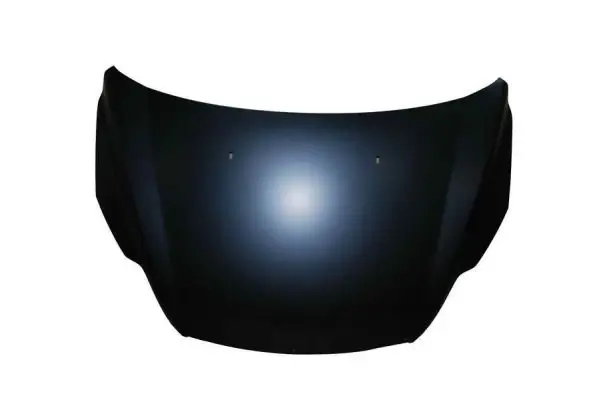 Motorhaube BLIC 6803-00-2533281P