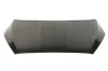 Motorhaube BLIC 6803-00-2536281Q