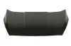 Motorhaube BLIC 6803-00-2592280P