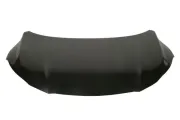 Motorhaube BLIC 6803-00-2950280P