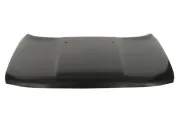 Motorhaube BLIC 6803-00-3216280AP