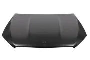 Motorhaube BLIC 6803-00-3537280P