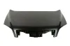 Motorhaube BLIC 6803-00-5099280P