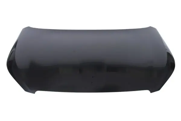 Motorhaube BLIC 6803-00-5519281P