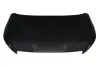 Motorhaube BLIC 6803-00-5520280P