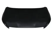 Motorhaube BLIC 6803-00-5520280P