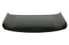 Motorhaube BLIC 6803-00-5547281P