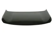 Motorhaube BLIC 6803-00-5547281P
