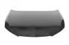 Motorhaube BLIC 6803-00-6621281Q
