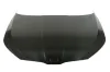 Motorhaube BLIC 6803-00-7519280P