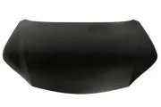 Motorhaube BLIC 6803-00-8166281P