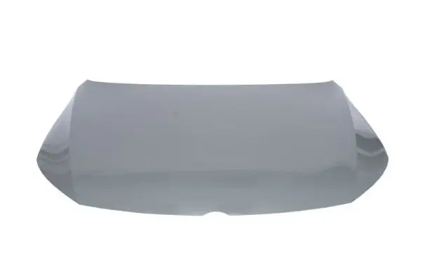 Motorhaube BLIC 6803-00-9540282P