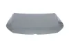 Motorhaube BLIC 6803-00-9540282P