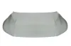 Motorhaube vorne BLIC 6803-00-9566280P