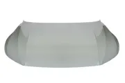 Motorhaube vorne BLIC 6803-00-9566280P