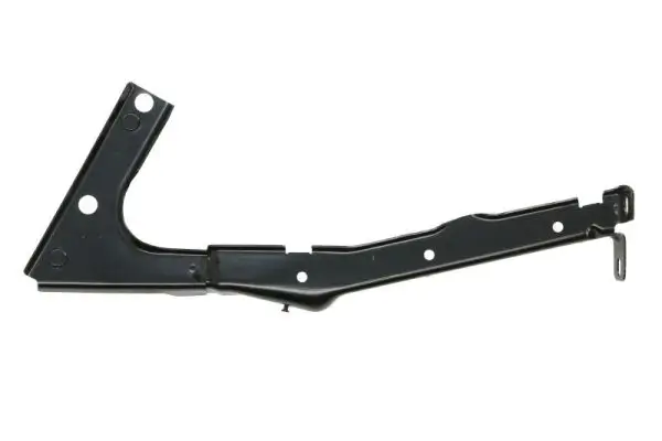 Lagerung, Kotflügelhalterung vorne links BLIC 7802-03-0038381P