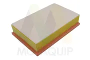 Luftfilter MOTAQUIP LVFA1639
