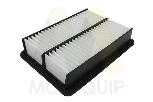 Luftfilter MOTAQUIP LVFA1749