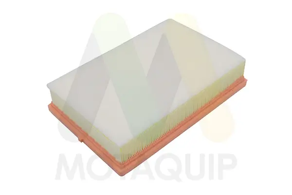 Luftfilter MOTAQUIP LVFA1766