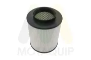 Luftfilter MOTAQUIP LVFA1768