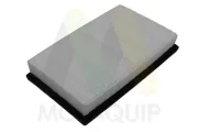 Luftfilter MOTAQUIP LVFA1771
