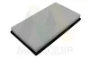 Luftfilter MOTAQUIP LVFA1773