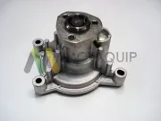 Wasserpumpe, Motorkühlung MOTAQUIP LVWP964