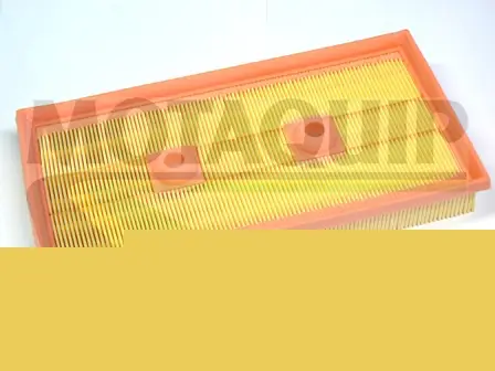 Luftfilter MOTAQUIP VFA1170