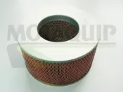 Luftfilter MOTAQUIP VFA23