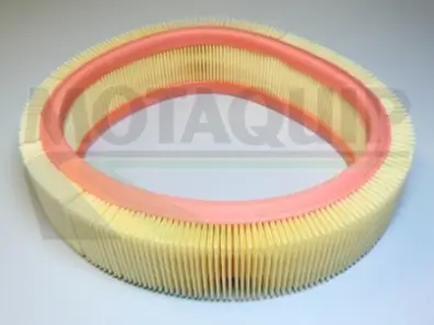 Luftfilter MOTAQUIP VFA251