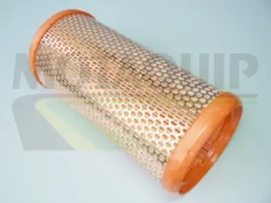 Luftfilter MOTAQUIP VFA787