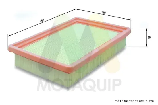 Luftfilter MOTAQUIP VFA921 Bild Luftfilter MOTAQUIP VFA921