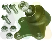 Trag-/Führungsgelenk Vorderachse rechts unten MOTAQUIP VSJ843