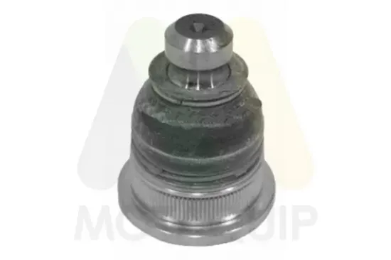 Trag-/Führungsgelenk Vorderachse links Vorderachse rechts unten MOTAQUIP VSJ925 Bild Trag-/Führungsgelenk Vorderachse links Vorderachse rechts unten MOTAQUIP VSJ925