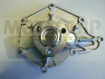 Wasserpumpe, Motorkühlung MOTAQUIP VWP852