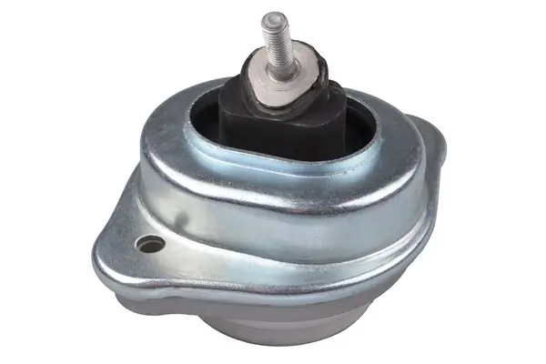 Lagerung, Motor vorne rechts TEDGUM 00088531