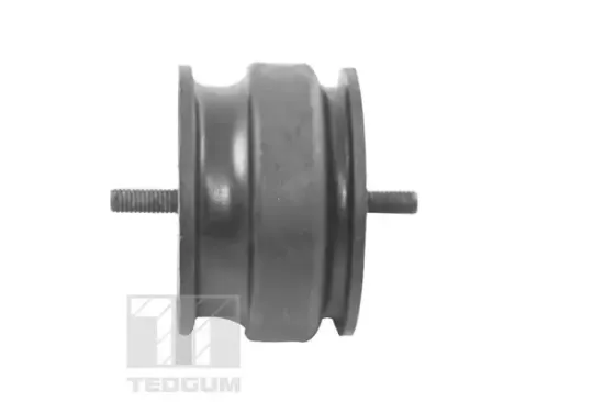 Lagerung, Motor beidseitig TEDGUM 00221175 Bild Lagerung, Motor beidseitig TEDGUM 00221175