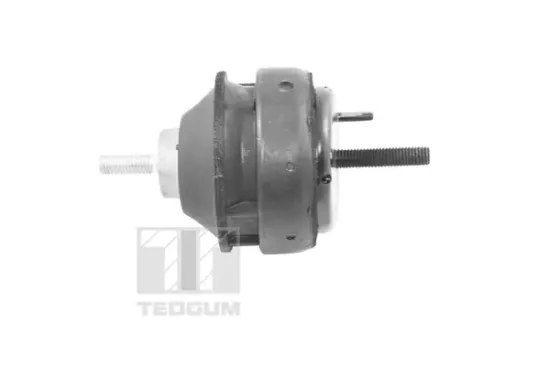 Lagerung, Motor TEDGUM 00221186 Bild Lagerung, Motor TEDGUM 00221186