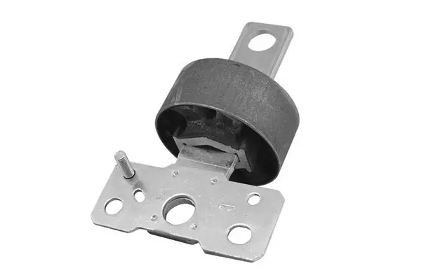 Lagerung, Lenker Hinterachse vorne links TEDGUM 00225980